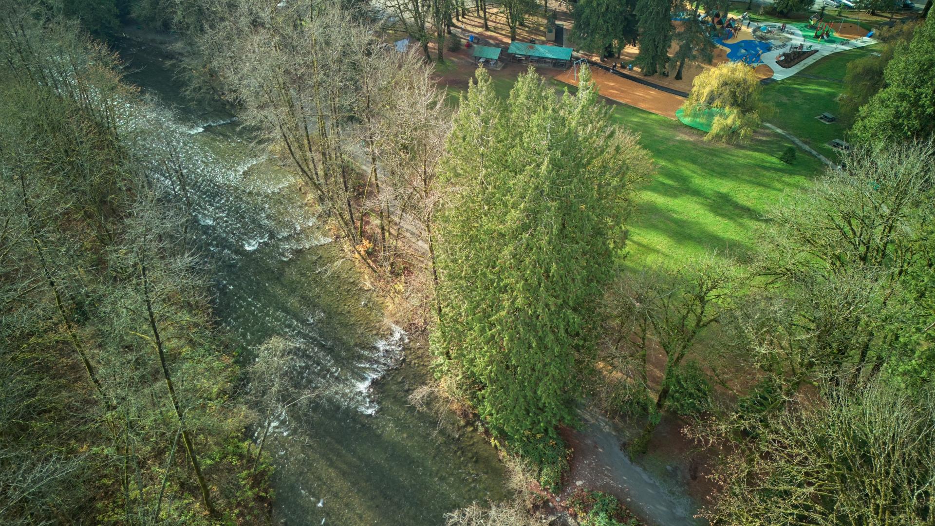 Aerial view of Alouette River running through Maple Ridge Park